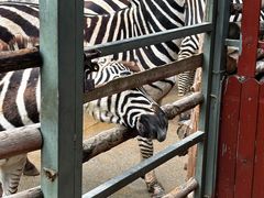 -泉州海丝野生动物世界