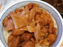 -吉野家(红博中央公园店)