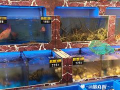 -长平肥姐白粥·海鲜打冷