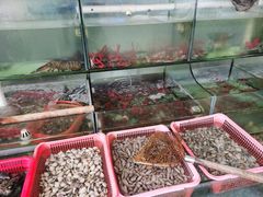 -巽东海鲜大排档(巽寮湾店)