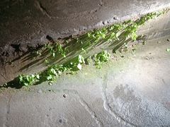 -金狮洞国家地质公园