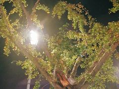 -岁粤Moon·湖景餐厅(月光码头店)