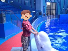 -石家庄极地海洋世界