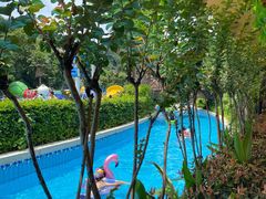 -重庆海昌加勒比海水世界