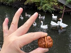 -横道河子东北虎林园
