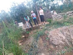 -北京东方普罗旺斯薰衣草庄园