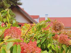 -云峰山自然风景区