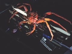 -同济大学四平路校区深海探索馆