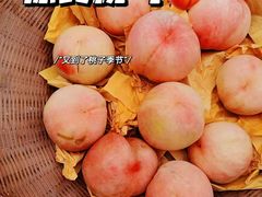-宾湖农庄·农场特色(太湖龙之梦店)