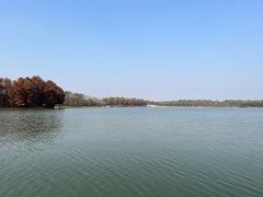-上海海湾国家森林公园