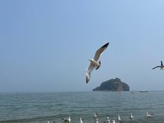 -棒棰岛宾馆景区