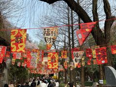 -西安曲江寒窑遗址公园