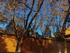 -苏州文庙(姑苏区)