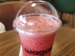 -Wagas沃歌斯(深圳印力中心店)