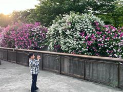 -丹东路渡口(轮渡站)