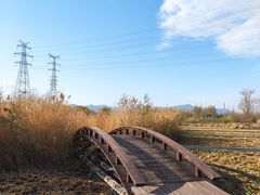 -永定河休闲森林公园