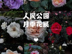 -人民公园(罗湖区)