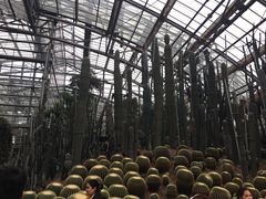-南山植物园
