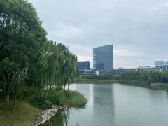 -大兴滨河森林公园