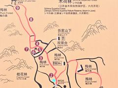 -香雪海