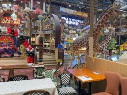 -卡通尼·Safari非洲探索乐园·生日会(金桥国际商业广场店)