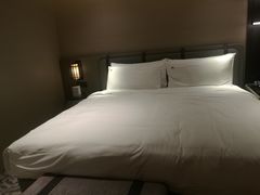 -新加坡瑞士史丹福酒店