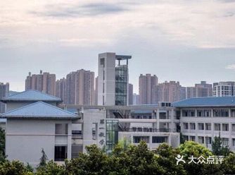 重庆大学，于1929年始建，位于重庆市，是中共中央直