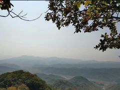 -天女山森林公园