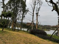 -枫香湖儿童公园