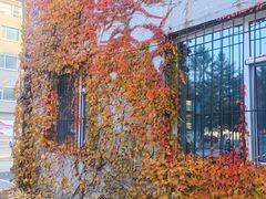 -东北大学(南湖校区)