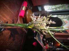 iphone_upload_pic-花马天堂云南餐厅 Lost Heaven(高邮路店)