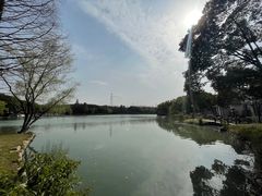 -新洲生态园