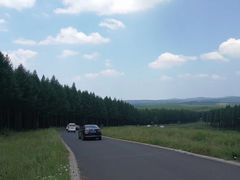 -塞罕坝国家级自然保护区