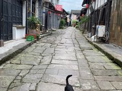 -涞滩古镇