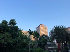 -三亚湾红树林度假世界(木棉酒店)