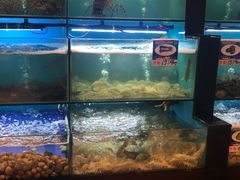水产区-南海渔家•海鲜•正宗海南菜(海棠湾店)