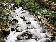 -江西阳明山国家森林公园