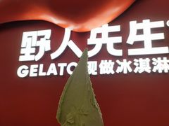 -野人先生现做冰淇淋(北京王府井东方新天地店)