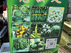 -菊园百果园