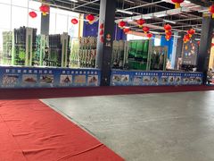 -荣盛康旅野三坡滑雪场