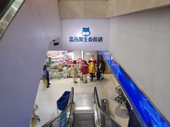 -盒马鲜生(大成店)