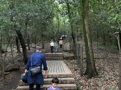 -紫金山天文台