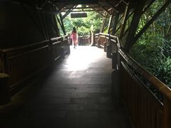 -海口观澜湖火山温泉谷