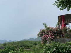 -双新垂钓园