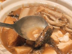 羊肚菌豆腐煲-炳胜品味(海印总店)
