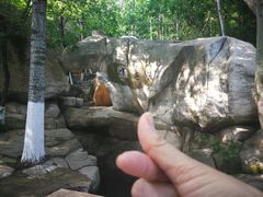 -石老人观光园
