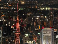 -名古屋城