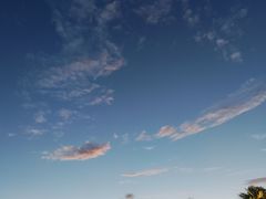 -白塘生态植物园