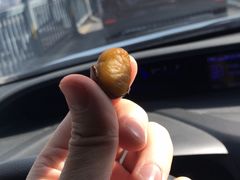 -阿男野栗王(金门路店)