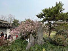 -杭州植物园